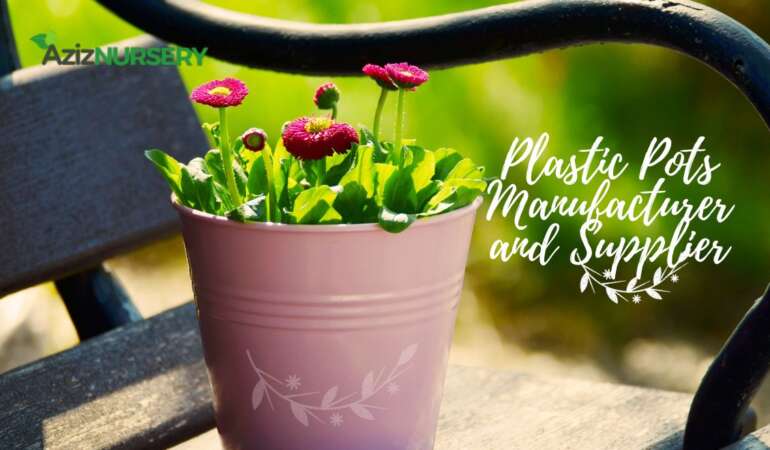 Plastic Pots Manufacturer and Supplier | Sustainable Gardening Solutions