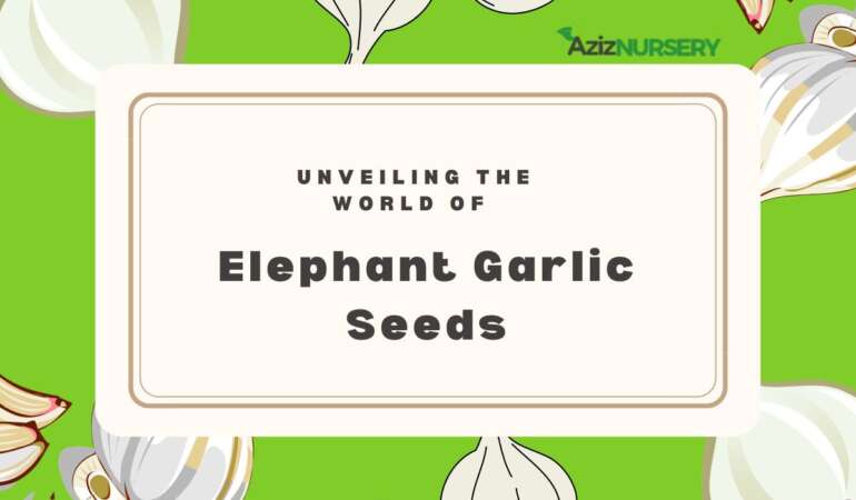 Unveiling the World of Elephant Garlic Seeds: A Comprehensive Guide