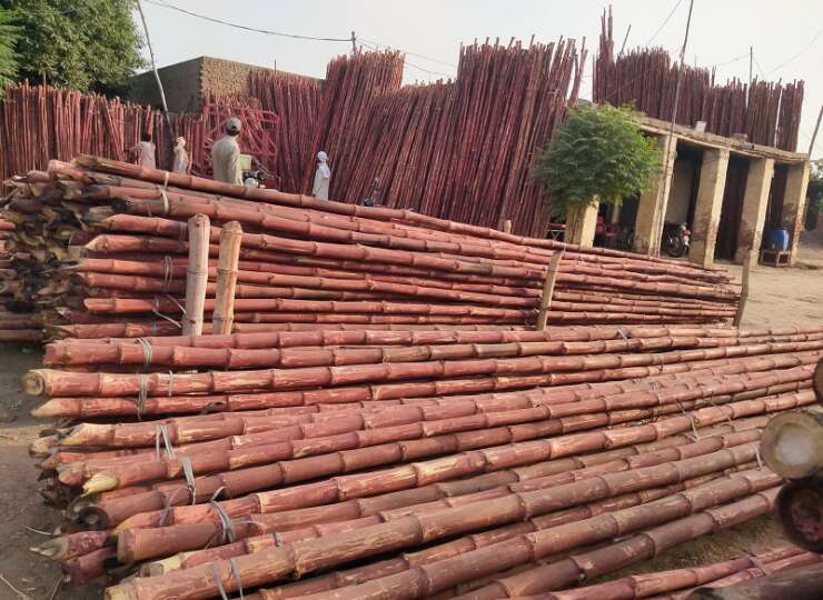 Bamboo poles for sale in pakistan